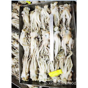 冷凍イカの残りの触手Nototodarus sloanii 200-300g